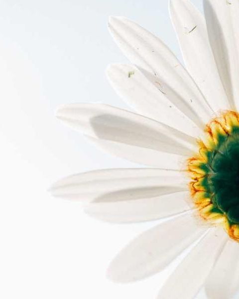 Another Blog for testing